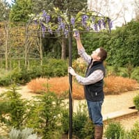 Växtstöd Harrod Wisteria Umbrella, svart